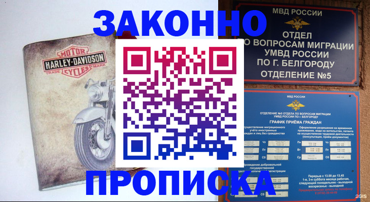 прописка для школы в Камчатском крае