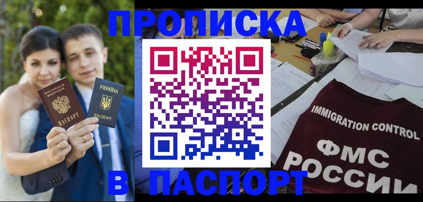 прописка иностранных граждан в Камчатском крае